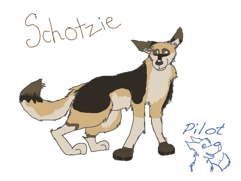 Schotzie Doodle < 3