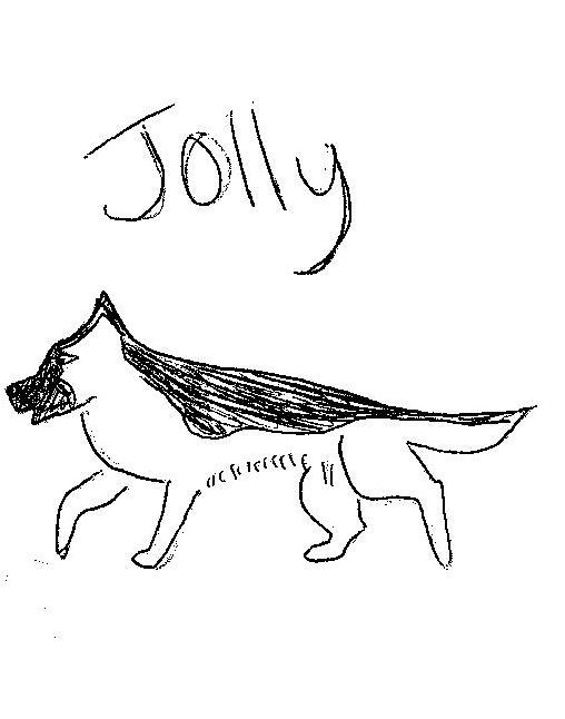 Jolly at a show