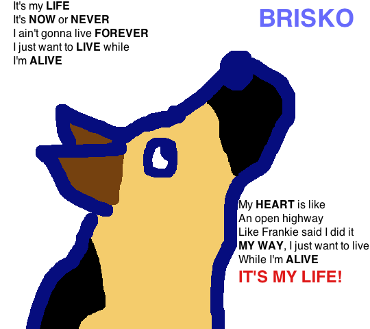 It's My Life-->  Brisko