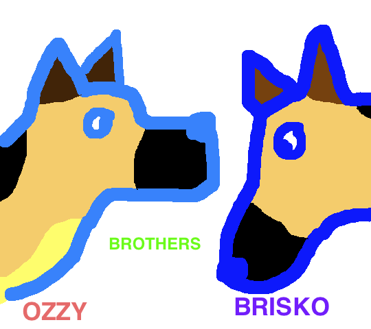 Brothers