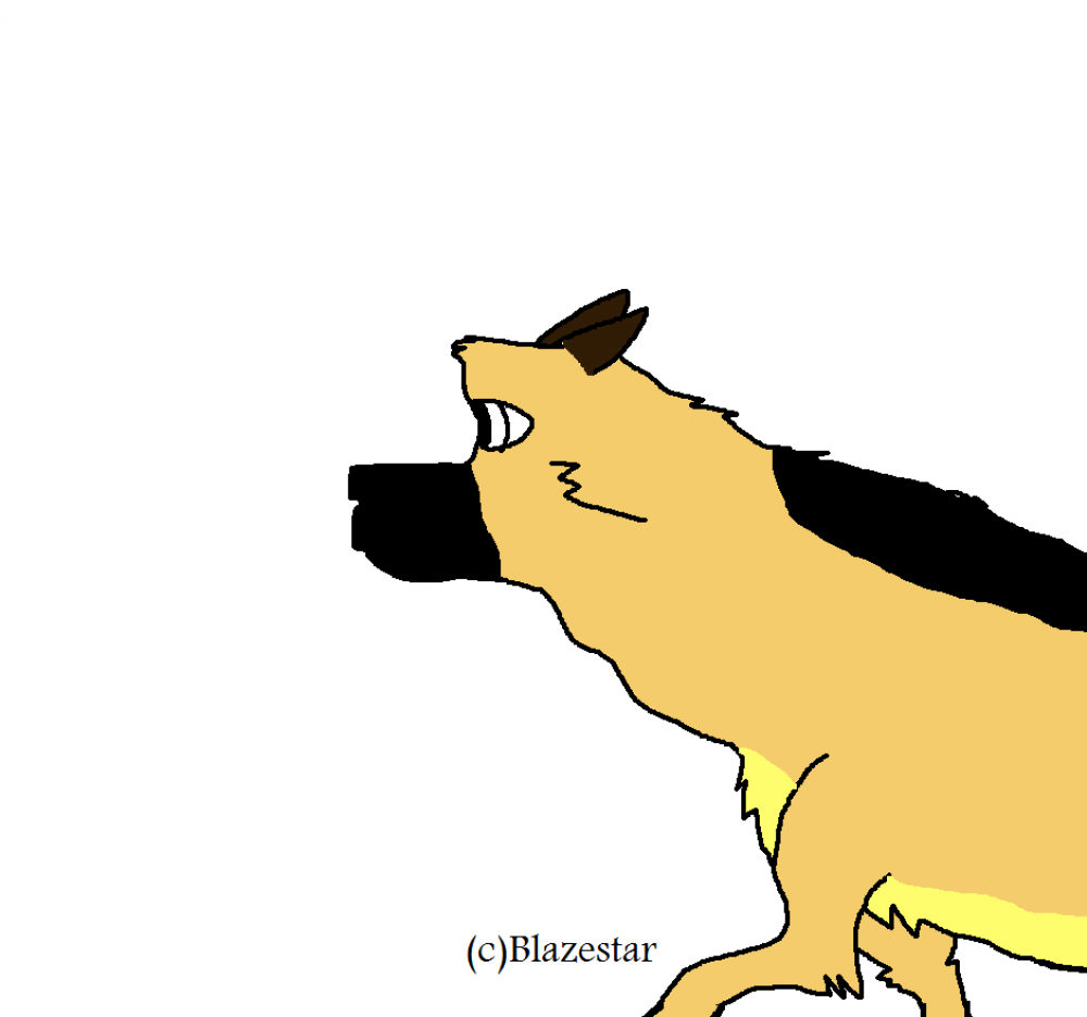 Majestic Jolly