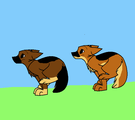 Belle and Kombat Rock - Wonder Pups
