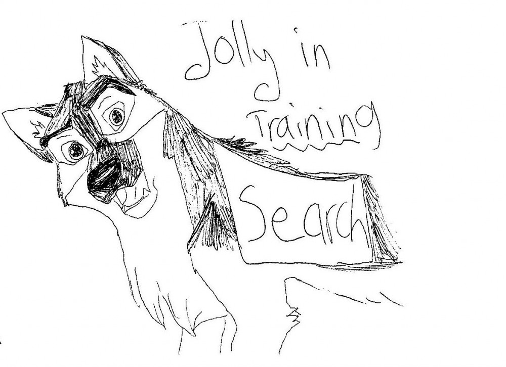Training 