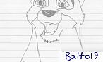 balto19