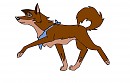 Balto and Jenna Mixed