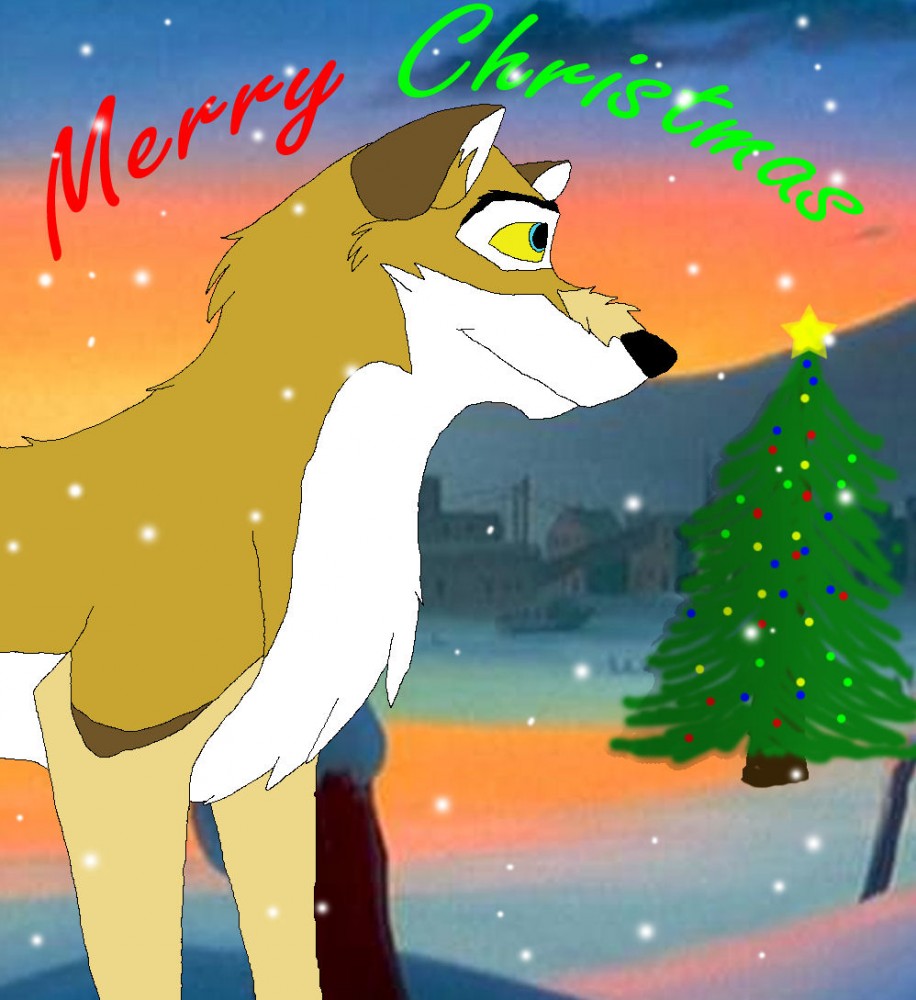 Merry Christmas Larkspur