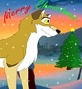 Merry Christmas Larkspur