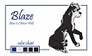 Blaze redo
