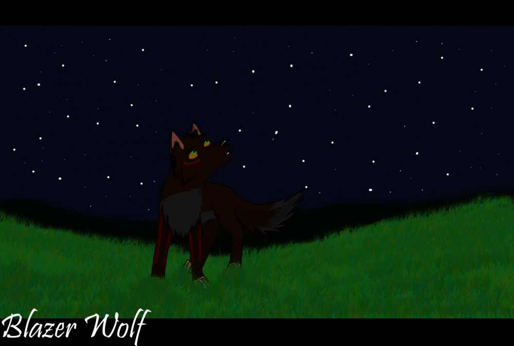 Under the Stars