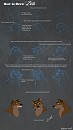 How to draw Balto