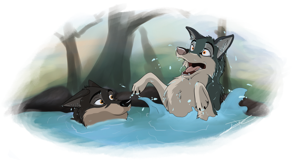 Splish Splash