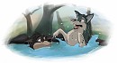 Splish Splash