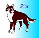Riter
