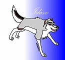 made for Dovepaws contest