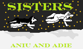 Who was Aniu's family?