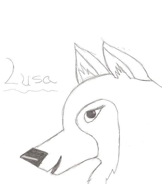 Lusa