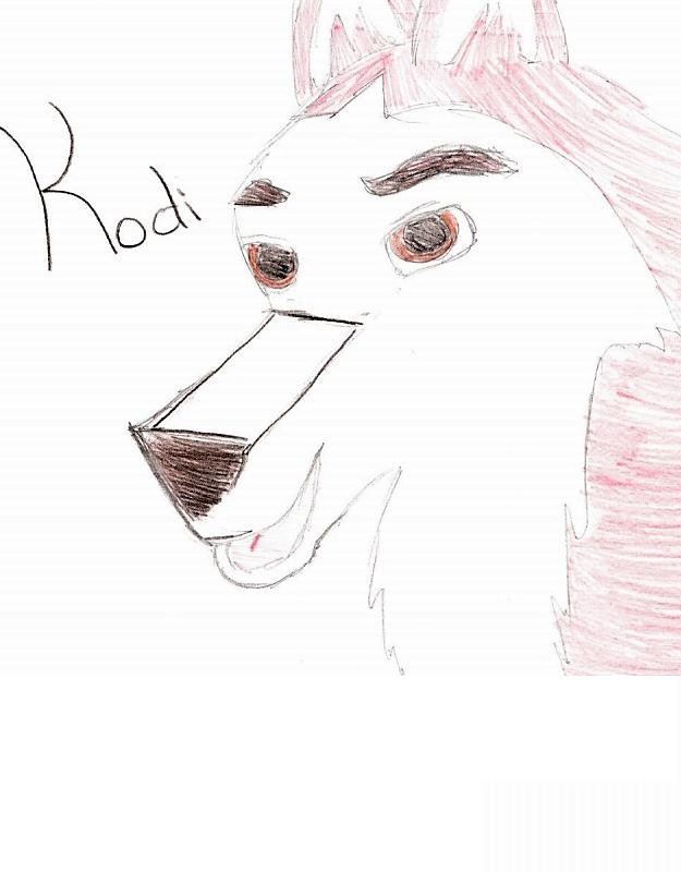 Kodi