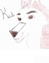 Kodi