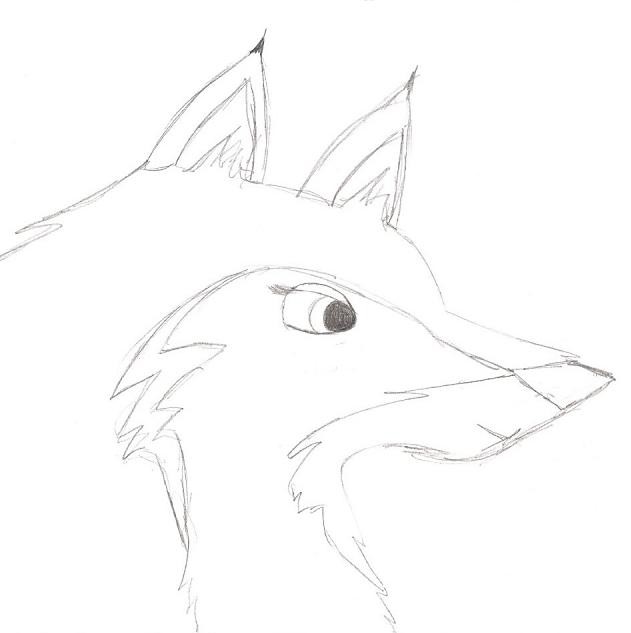 Random Dog