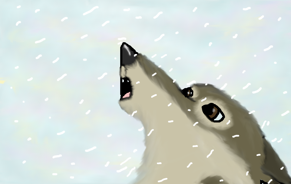 Snowy Howl