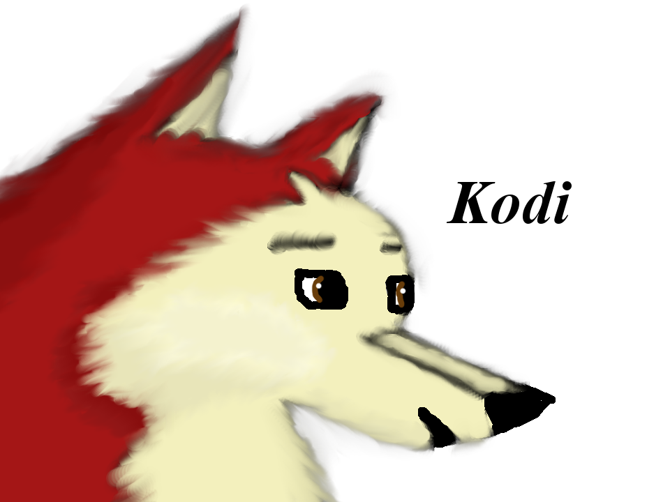 Kodi