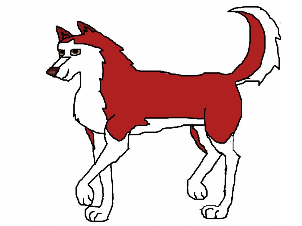 Kodi