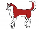 Kodi