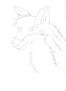 Blaze