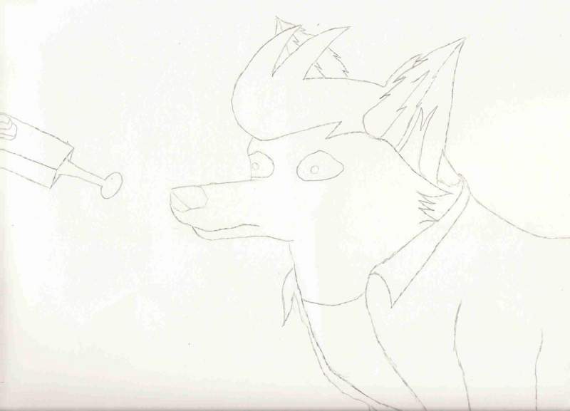 Fry dogformed