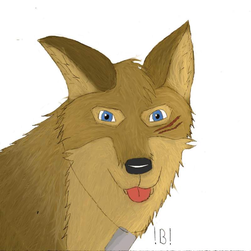 Real Wolf Me?