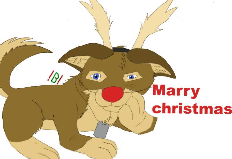 Marry X-mas ^^