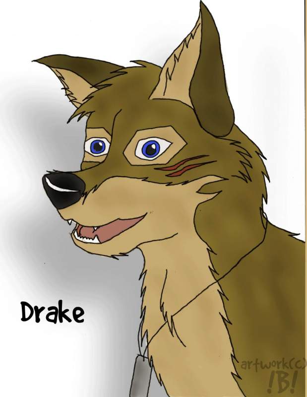 Random Drake