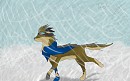 Winter Walk