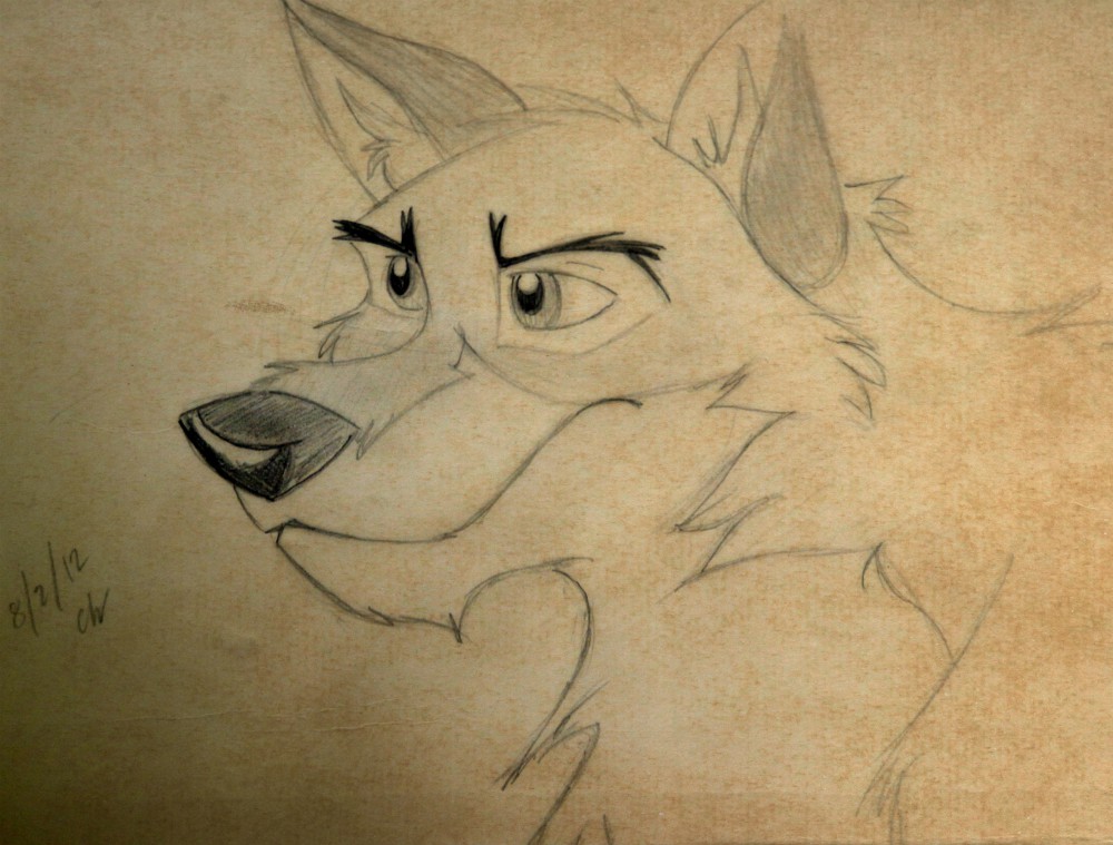 Not a dog. Not a wolf.