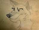 Not a dog. Not a wolf.