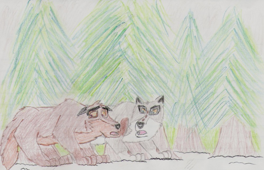 Confrontation