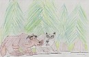 Confrontation