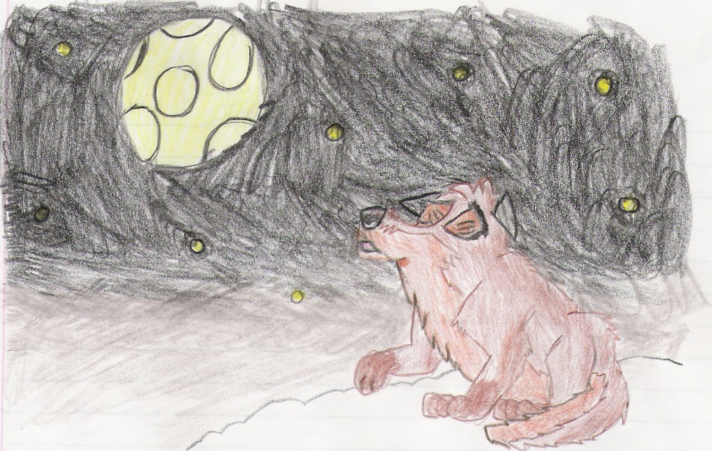 Howl