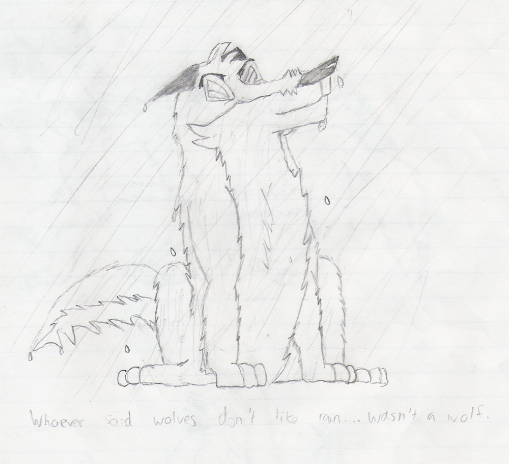 The rain