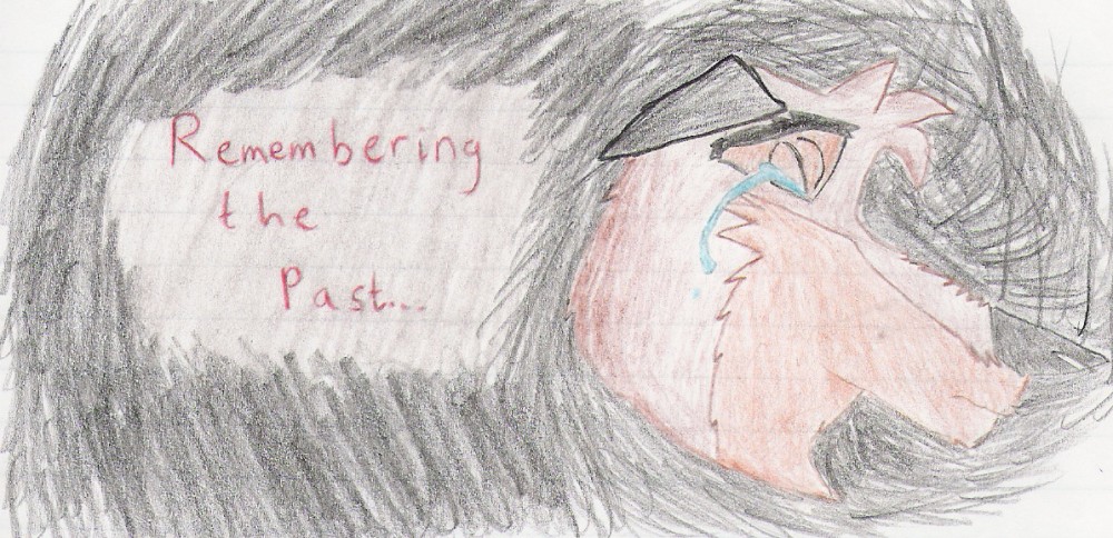Remembering the Past