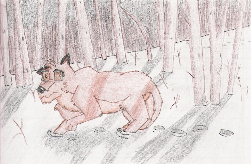 The Woods
