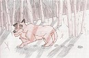 The Woods