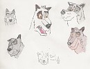 Doodlez!!!