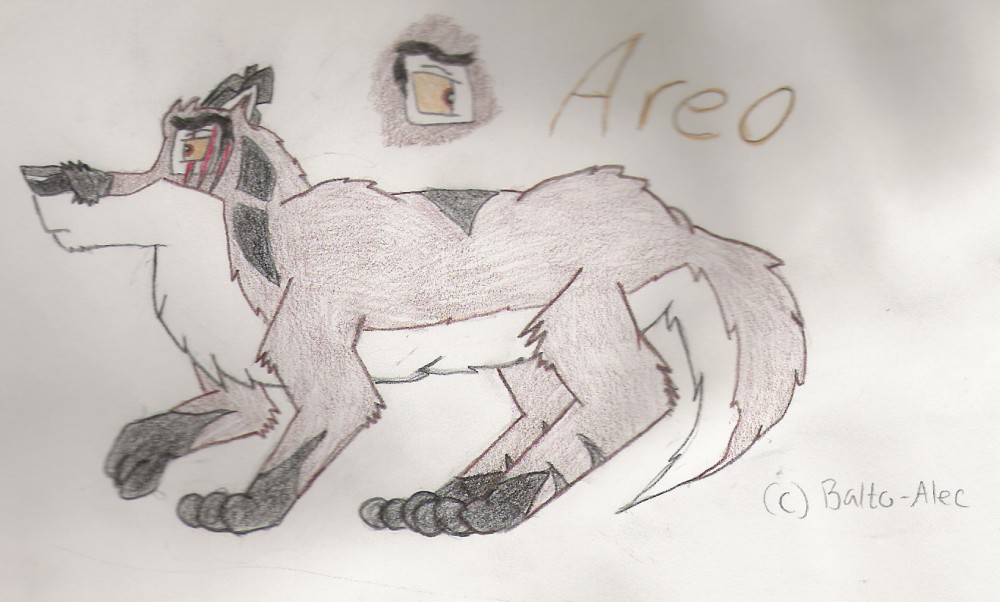 New Charrie, Areo!