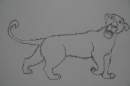 Gandor