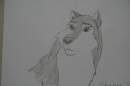 Shania