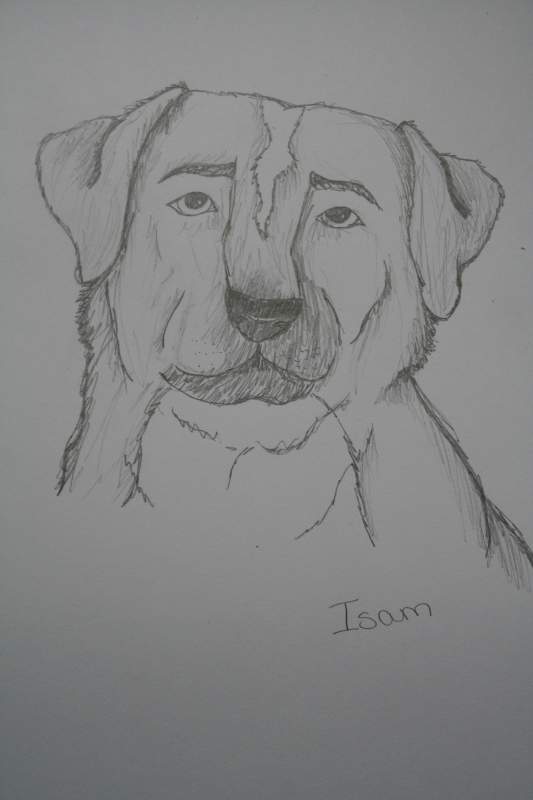 Isam