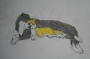 Dunse and Shanti