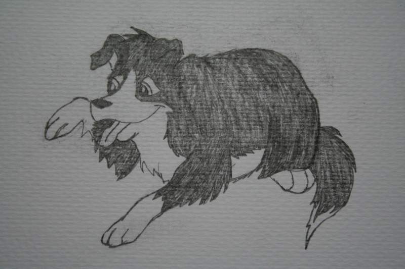 Dunse