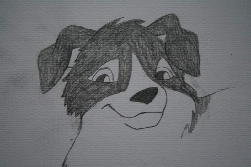 Dunse as pup